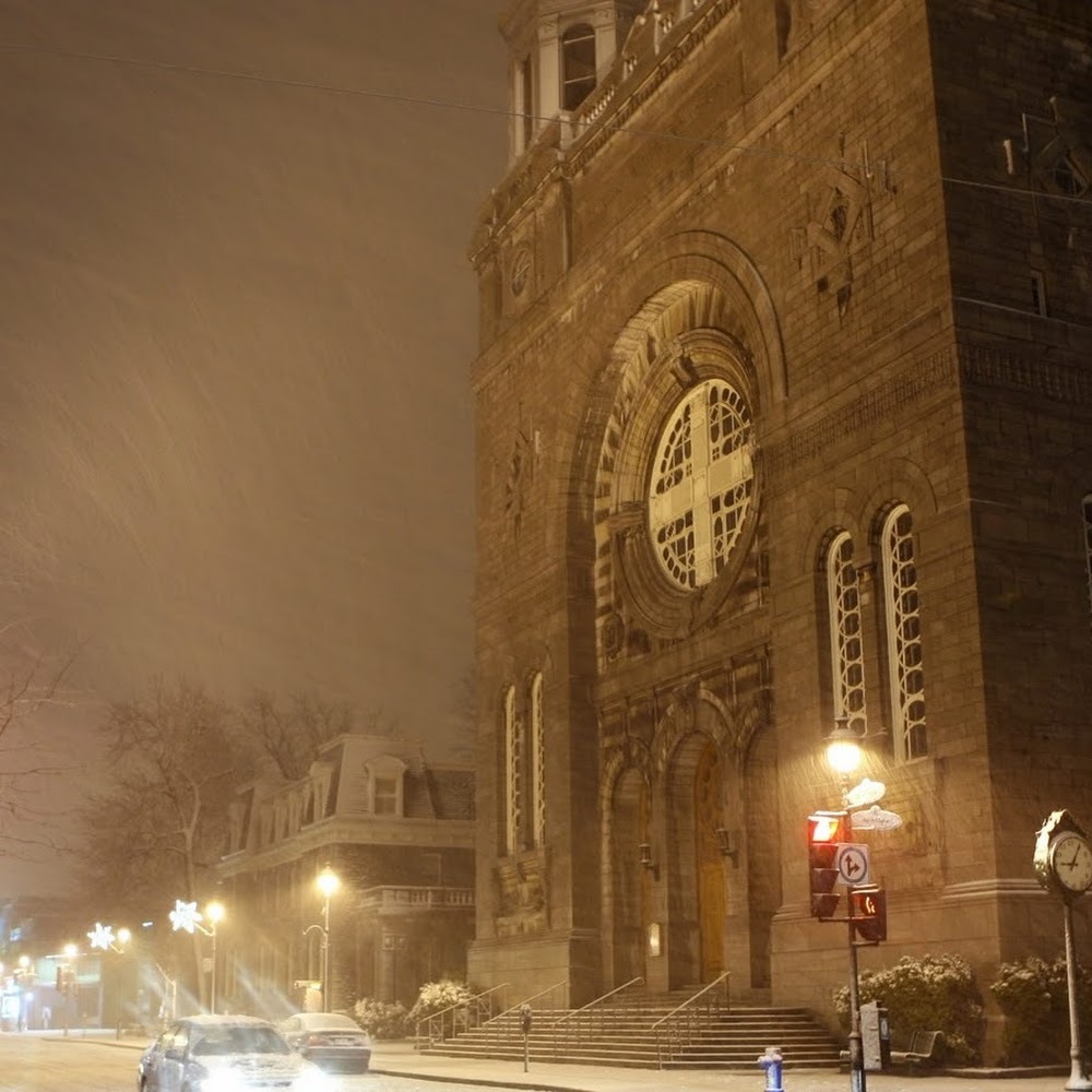 Meet your Posher, Priscilla